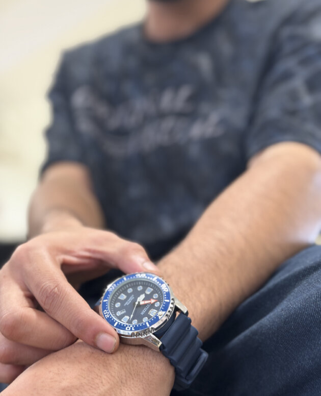 Citizen Promaster Eco-Drive Diver (Promaster Marine) – Blue Dial & Bezel